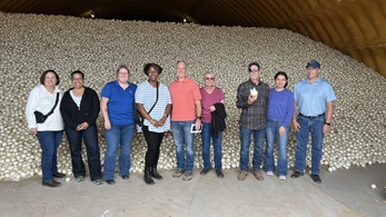 Nine people standing in front of a large pile of white onions