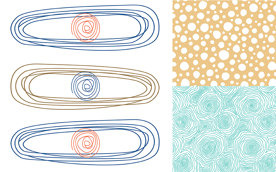 Midwinter 26 Diamond Icon Orange