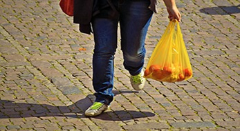 Plastic Shopping Bags