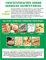 Food Safety poster in Spanish.